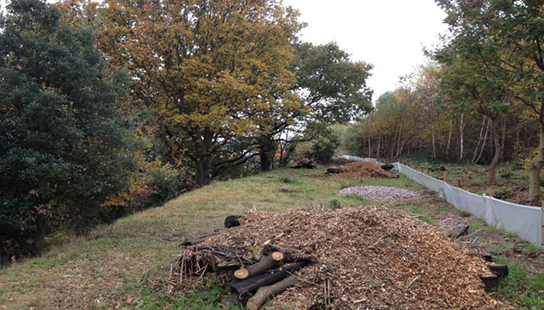 Reptile-fencing-and-wood-piles_b-reduced-for-website-1